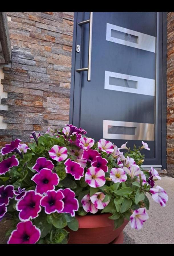 Happy House Apartment Beograd Ngoại thất bức ảnh