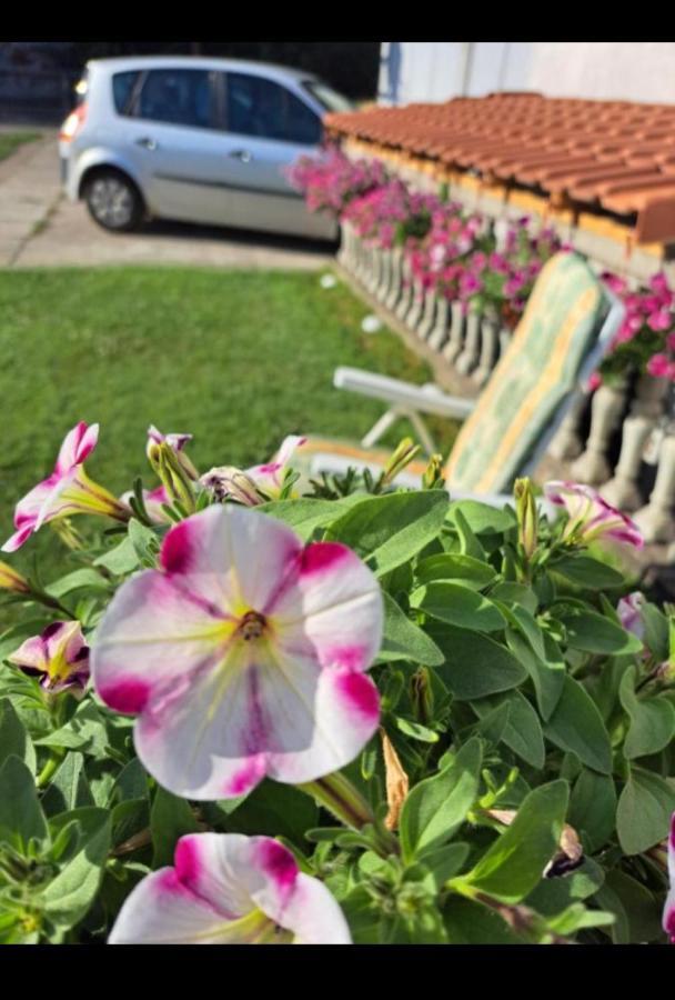 Happy House Apartment Beograd Ngoại thất bức ảnh